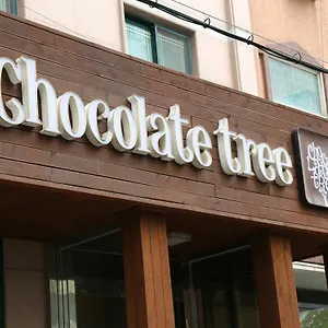 酒店 Chocolate Tree, 首爾